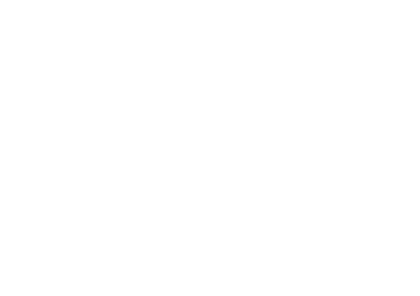 Logo S4R